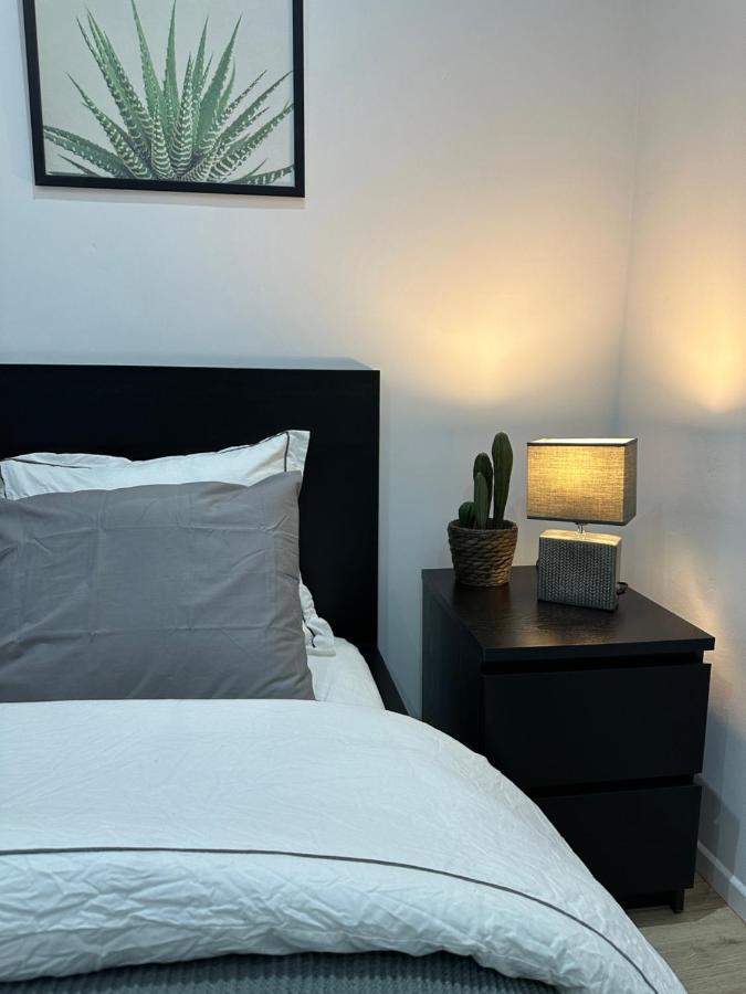 Nouveau Studio Dans Le Centre De Apartment Brüssel